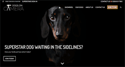 Desktop Screenshot of dogsoncamera.com